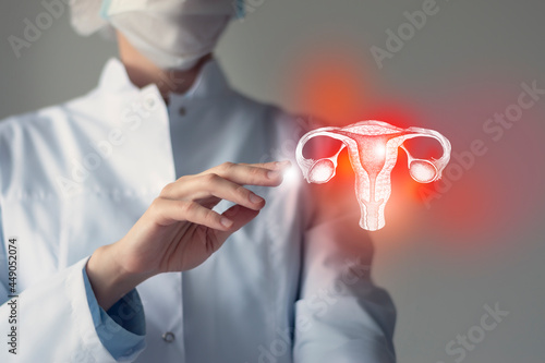 Unrecognizable doctor caring highlighted blue handrawn Uterus. Medical illustration, template, science mockup. photo