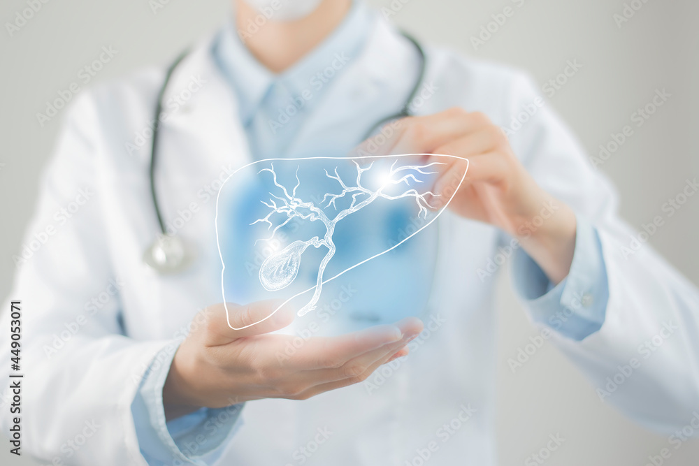 Unrecognizable doctor holding highlighted handrawn Gall Bladder in hands. Medical illustration, template, science mockup. Unrecognizable doctor holding highlighted handrawn Gall Bladder in hands. Medical illustration, template, science mockup.