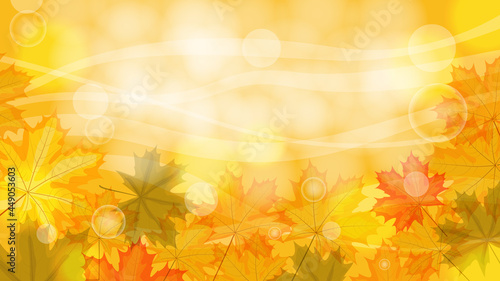 Autumn sunny background with leaves and highlights. Vector illustration