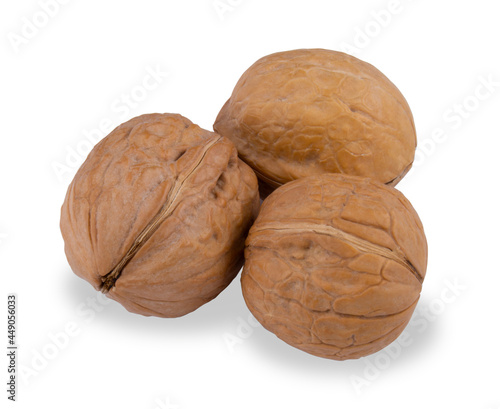 Three white nuts isolated on a white background.