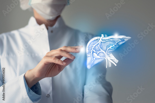 Unrecognizable doctor caring highlighted blue handrawn Liver. Medical illustration, template, science mockup. photo