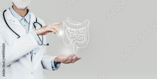 Unrecognizable doctor holding highlighted handrawn Intestine in hands. Medical illustration, template, science mockup.