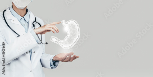 Unrecognizable doctor holding highlighted handrawn Stomach in hands. Medical illustration, template, science mockup. photo