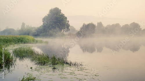Tranquil summer landscape at sunrise. Fog on the water surface of a quiet river.  The nature of Belarus. © Uladzimir
