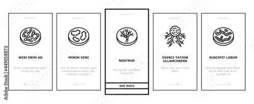 Bacteria Infection Onboarding Mobile App Page Screen Vector. Candida Bacteria And Plague, Cancer Cell And Thyroid Disease, Cutaneous Mucormycosis And Parasit Worms Illustrations