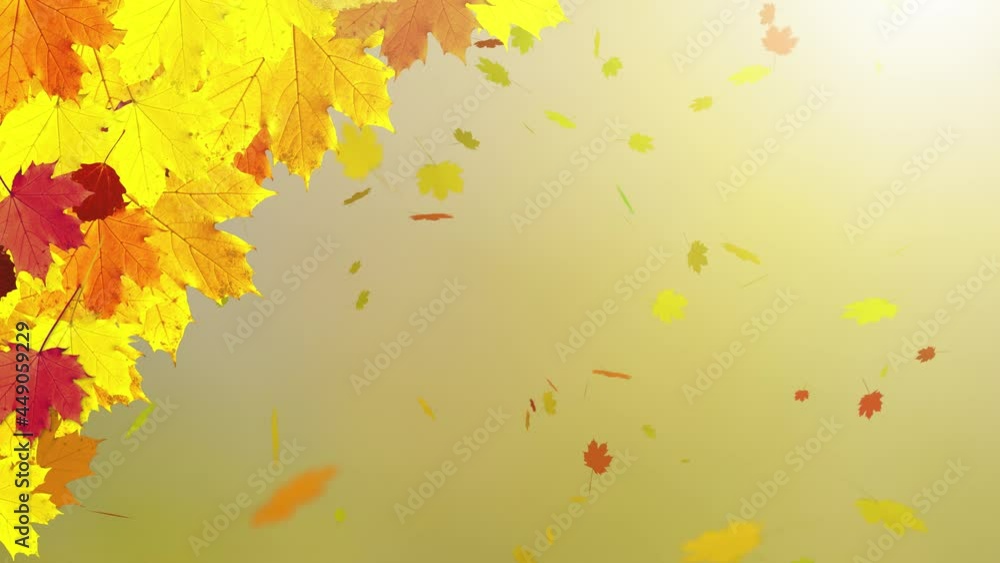 Sunny fall season leaf decoration with flying leaves. Sunny fall season leaf decoration with flying leaves.