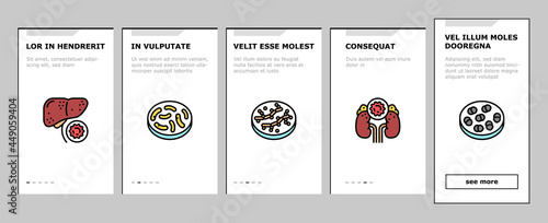 Bacteria Infection Onboarding Mobile App Page Screen Vector. Candida Bacteria And Plague, Cancer Cell And Thyroid Disease, Cutaneous Mucormycosis And Parasit Worms Illustrations