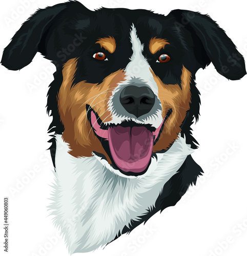 dog digital art illustration isolated on white - appenzeller sennenhund photo