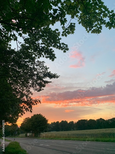 sunset in the park