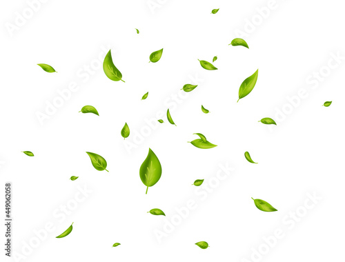 Leaf falling. Green flying leaves on white background. Wave foliage ornament. Beauty product. Ecology, eco, organic design element. Fresh tea banner. Cosmetic pattern border. Vector illustration