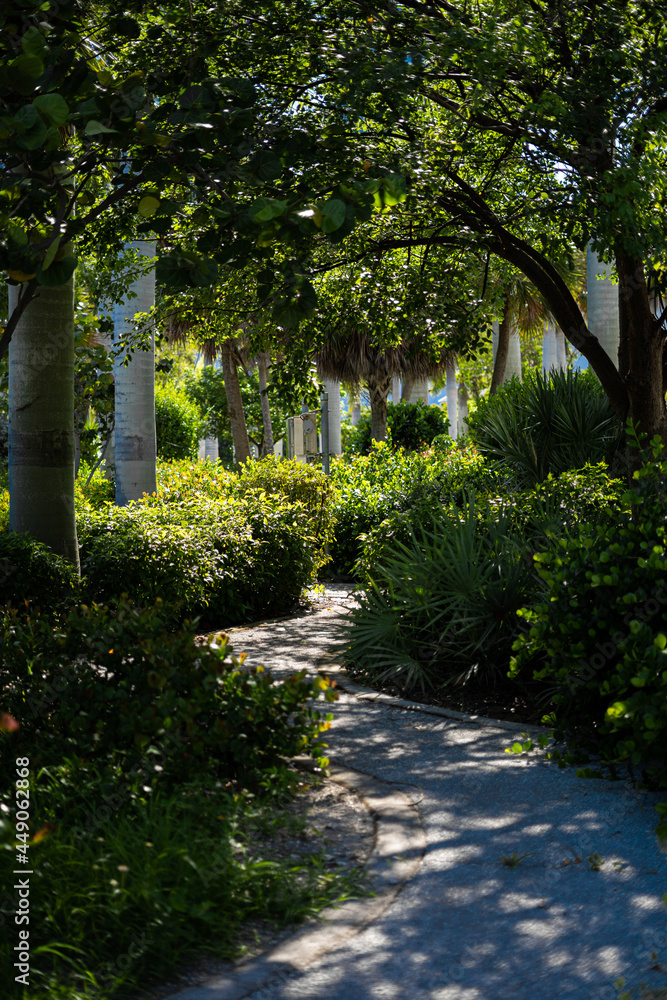 Miami park Miami park