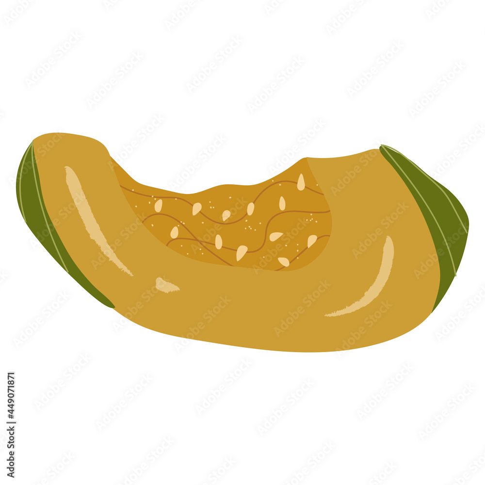 Fototapeta premium Green-yellow slice pumpkin, autumn decorative.Vector hand drawn cartoon
