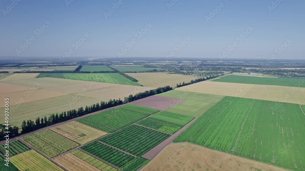 Agriculture food production, plantation from up above Agriculture food production, plantation from up above