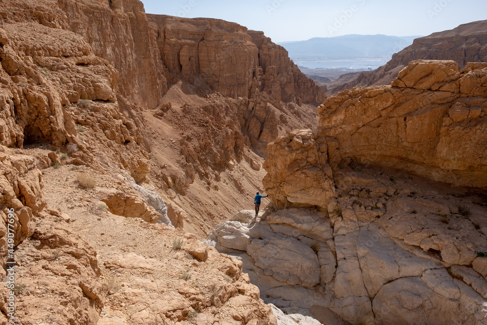 Male traveler inside a narrow dry canyon of wadi Ashalim, Judaean Desert. Panoramic landscape of impressive high vertical sandstone walls of the canyon. Dead Sea on the background. Vacation in Israel.