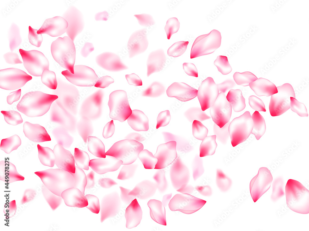 Spring blossom isolated petals flying Spring blossom isolated petals flying