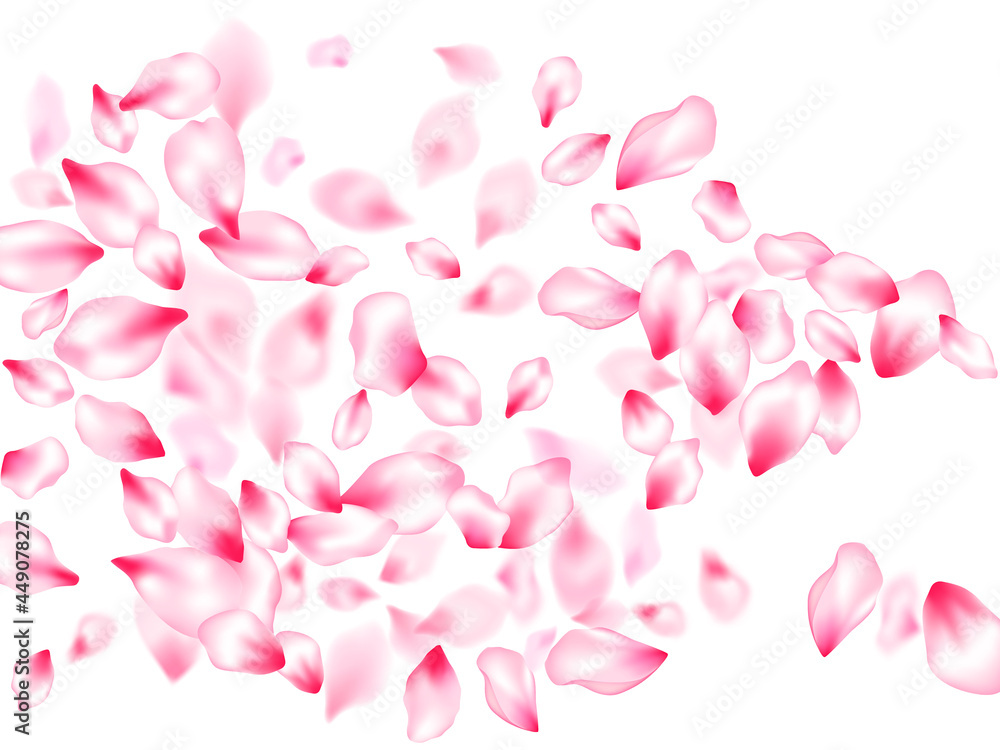 Spring blossom isolated petals flying