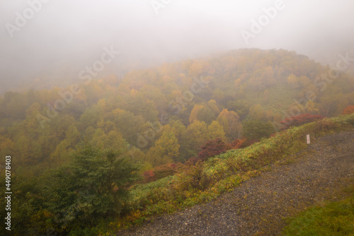                                                                                                        A view of climbing Mt. Nasu in Nasu-machi  Nasu-gun  Tochigi Prefecture  to see the autumn leaves in the fog.