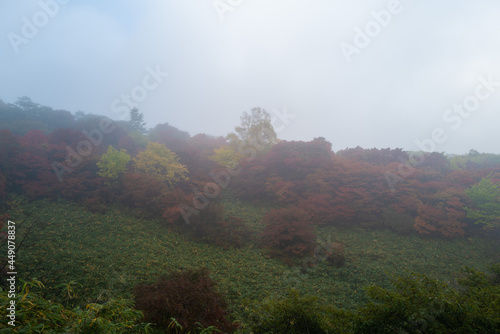                                                                                                       A view of climbing Mt. Nasu in Nasu-machi  Nasu-gun  Tochigi Prefecture  to see the autumn leaves in the fog.