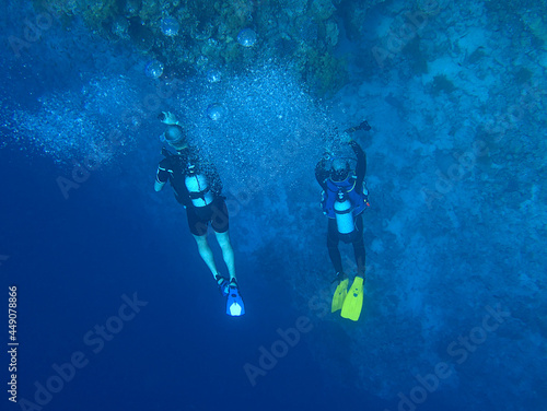 scuba divers in the sea
