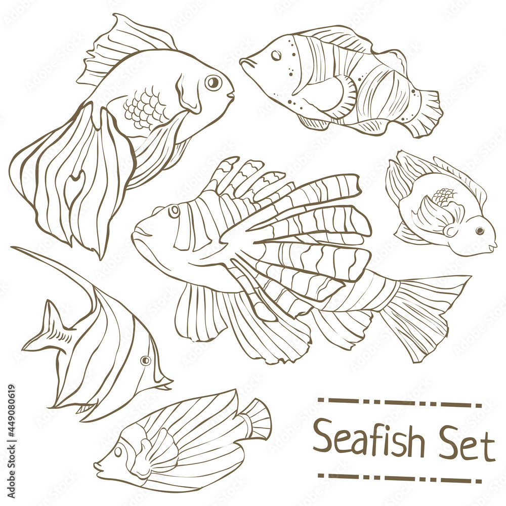 Set of hand drawn sea fish isolated on white. Collection of vector line fishes. Set of hand drawn sea fish isolated on white. Collection of vector line fishes.
