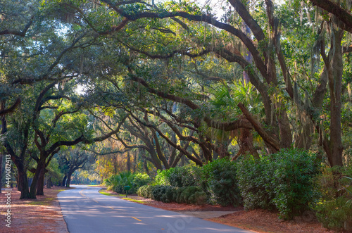Hilton Head Island, South Carolina, USA