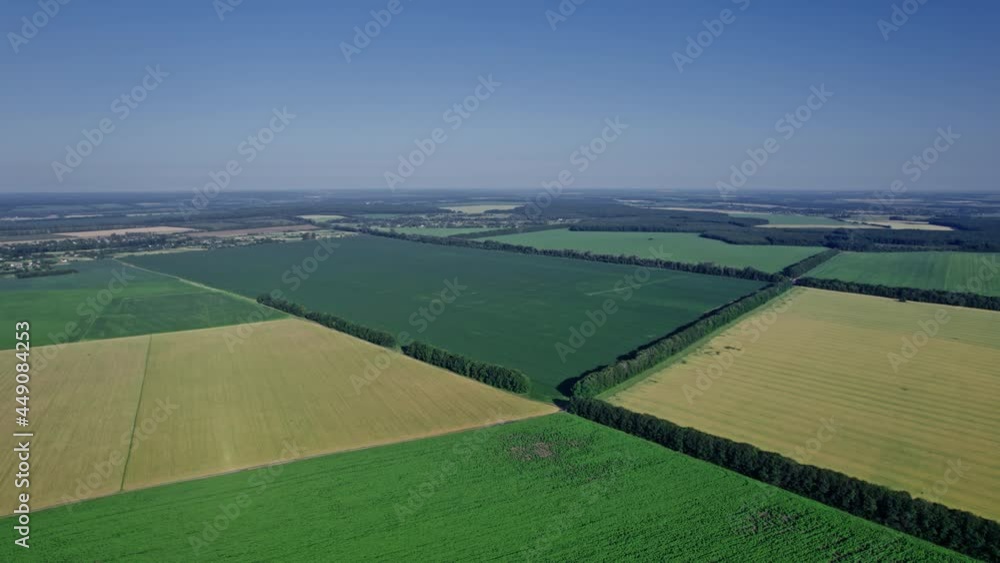 Sunflower field on a sunny day, aerial view Sunflower field on a sunny day, aerial view