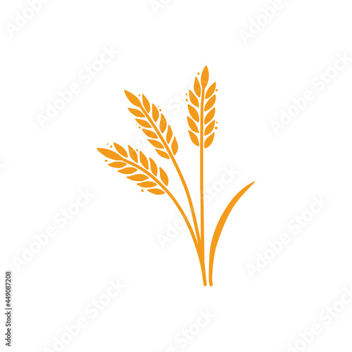 Wheat, barley, rice icon. Hand drawn sketch style oat with grain. Wheat isolated vector illustration. Golden color barley.
