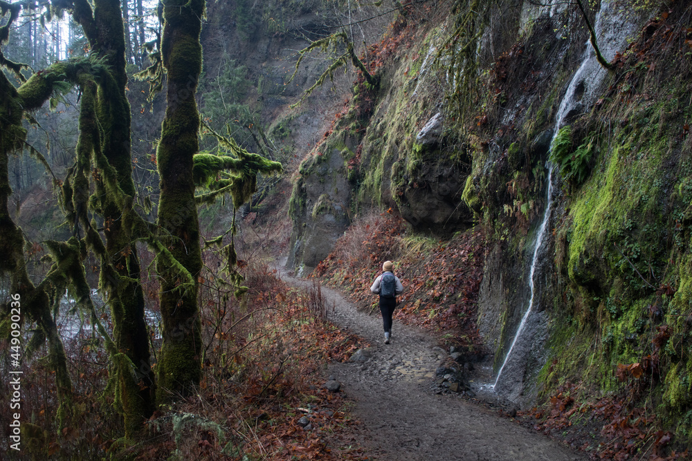 Eagle Creek Trail hiker in spring, Columbia River Gorge in Oregon