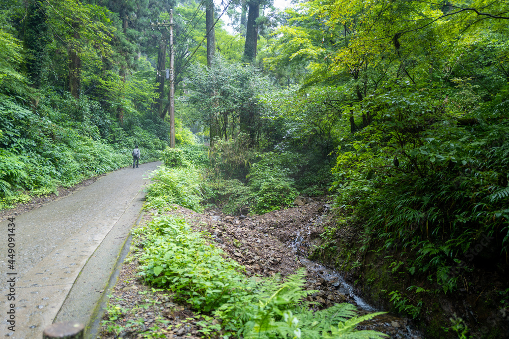東京都八王子市の高尾山を登山している風景 Scenery of climbing Mt. Takao in Hachioji City, Tokyo. 東京都八王子市の高尾山を登山している風景 Scenery of climbing Mt. Takao in Hachioji City, Tokyo.