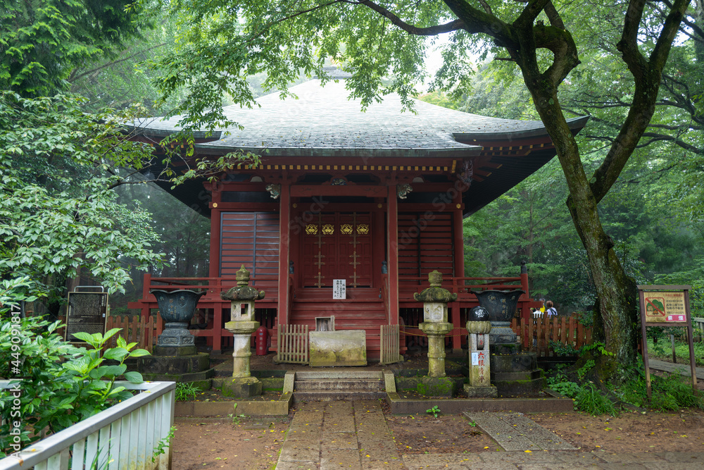 東京都八王子市の高尾山を登山している風景 Scenery of climbing Mt. Takao in Hachioji City, Tokyo. 東京都八王子市の高尾山を登山している風景 Scenery of climbing Mt. Takao in Hachioji City, Tokyo.