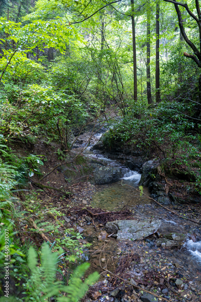 東京都八王子市の高尾山を登山している風景 Scenery of climbing Mt. Takao in Hachioji City, Tokyo.