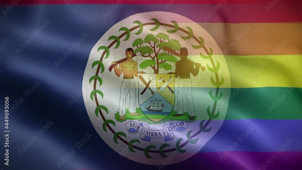 LGBT Belize Flag Loop Background 4K LGBT Belize Flag Loop Background 4K