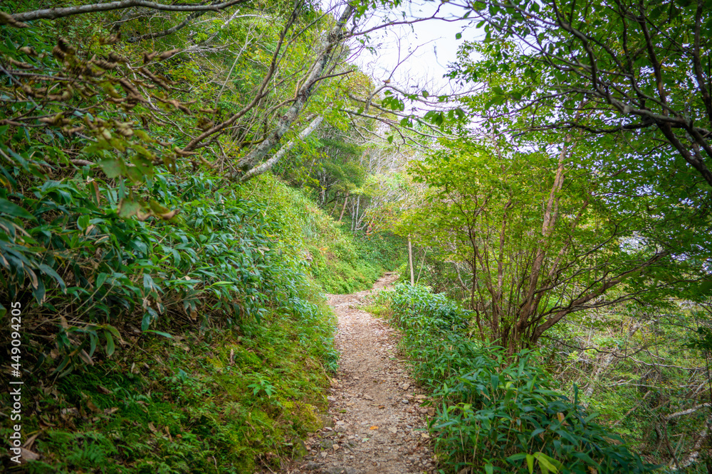 愛媛県西条市にある石槌山を紅葉の季節に登山する風景 A view of climbing Mount Ishizuchi in Saijo City, Ehime Prefecture, during the season of autumn leaves. 愛媛県西条市にある石槌山を紅葉の季節に登山する風景 A view of climbing Mount Ishizuchi in Saijo City, Ehime Prefecture, during the season of autumn leaves.