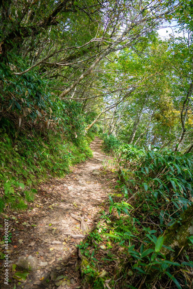 愛媛県西条市にある石槌山を紅葉の季節に登山する風景 A view of climbing Mount Ishizuchi in Saijo City, Ehime Prefecture, during the season of autumn leaves. 愛媛県西条市にある石槌山を紅葉の季節に登山する風景 A view of climbing Mount Ishizuchi in Saijo City, Ehime Prefecture, during the season of autumn leaves.