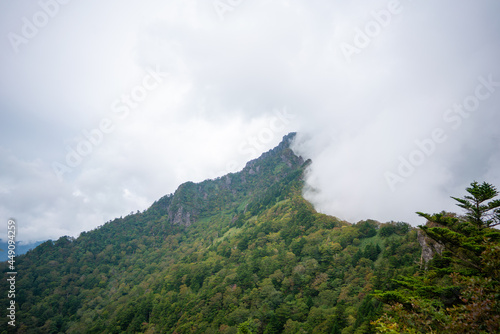 愛媛県西条市にある石槌山を紅葉の季節に登山する風景 A view of climbing Mount Ishizuchi in Saijo City, Ehime Prefecture, during the season of autumn leaves.