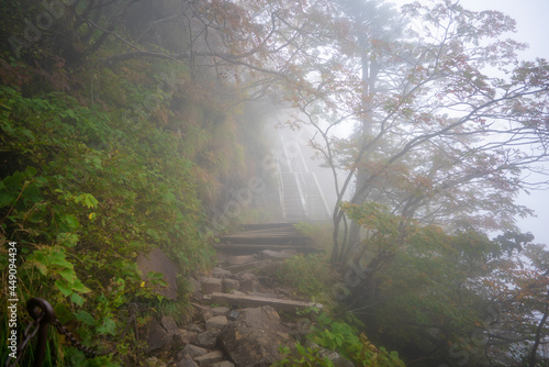 愛媛県西条市にある石槌山を紅葉の季節に登山する風景 A view of climbing Mount Ishizuchi in Saijo City, Ehime Prefecture, during the season of autumn leaves.