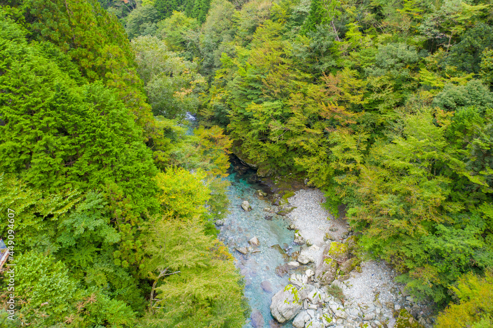 愛媛県西条市にある石槌山を紅葉の季節に登山する風景 A view of climbing Mount Ishizuchi in Saijo City, Ehime Prefecture, during the season of autumn leaves.