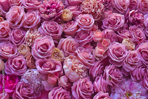 Fototapeta Naklejka Na Ścianę i Meble -  우아한 분홍색 장미꽃 배경