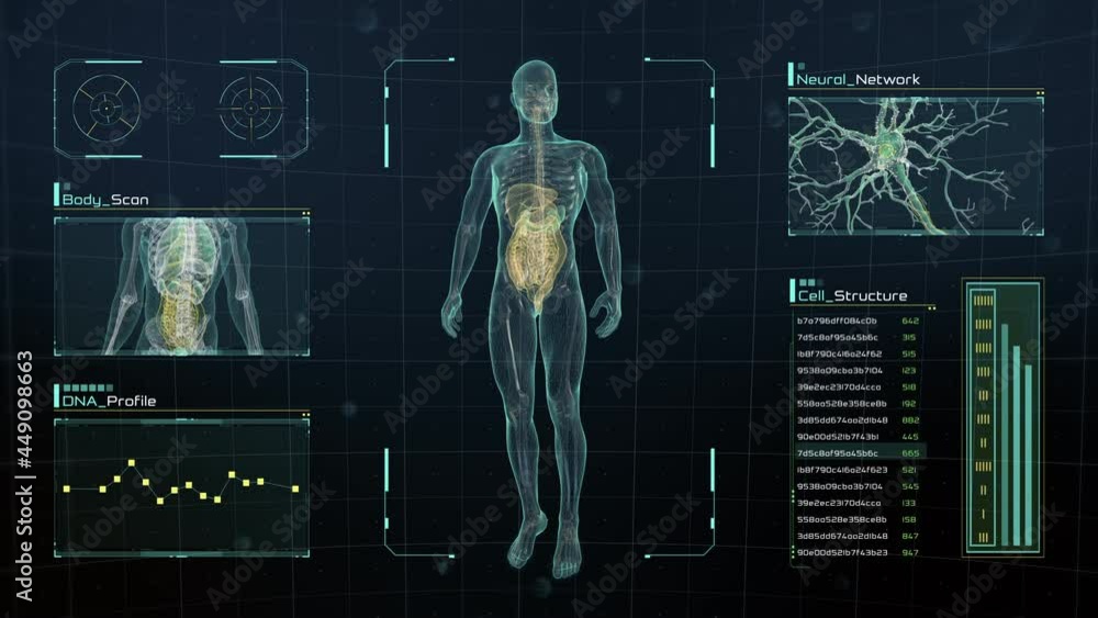 Analysis of Human Male Anatomy Scan on Futuristic Touch Screen Interface showing bones, organs, and neural network activity. Concept: In the Near Future of Medicine and Healthcare.