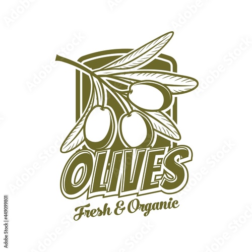Fresh olives icon, organic food product vector symbol. Extra virgin olive oil bottle tag with green olive fruits and leaves, Italian, Greek or Mediterranean cuisine icon