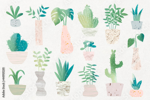 Green botany cactus collection vector