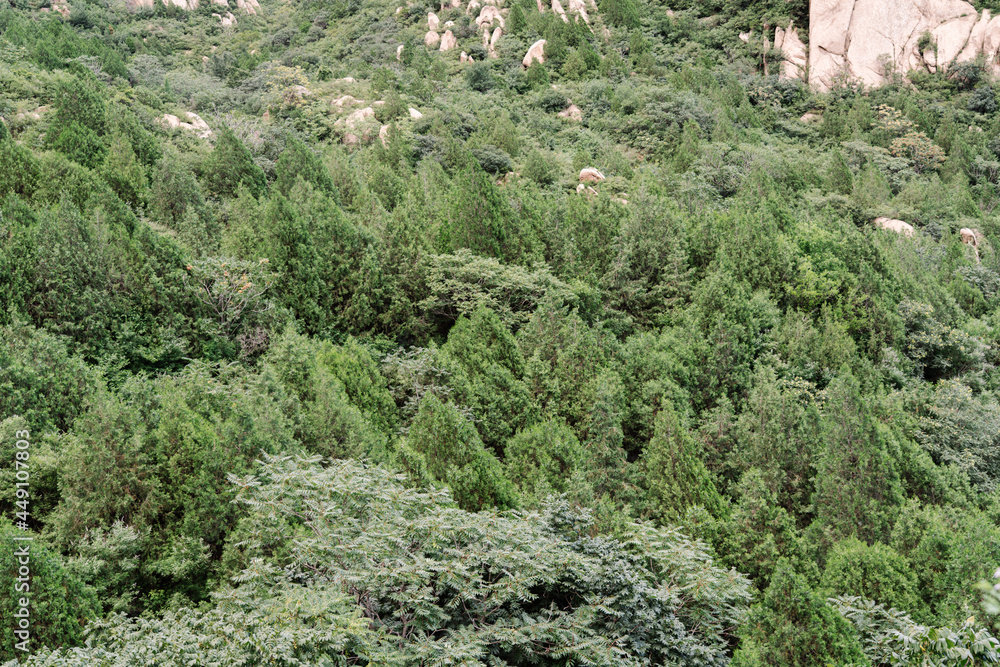 Obraz premium sky blue cloud