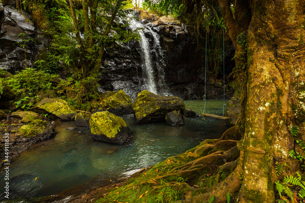 Waterfall landscape. Beautiful hidden waterfall in tropical rainforest. Tree with a swing. Fast shutter speed. Sing Sing Angin waterfall, Bali, Indonesia Waterfall landscape. Beautiful hidden waterfall in tropical rainforest. Tree with a swing. Fast shutter speed. Sing Sing Angin waterfall, Bali, Indonesia