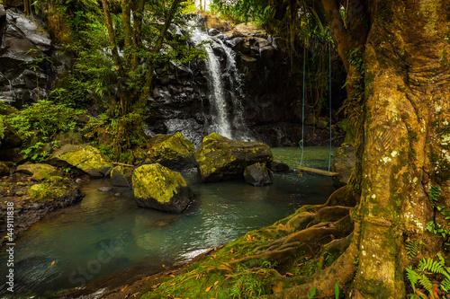 Waterfall landscape. Beautiful hidden waterfall in tropical rainforest. Tree with a swing. Fast shutter speed. Sing Sing Angin waterfall  Bali  Indonesia
