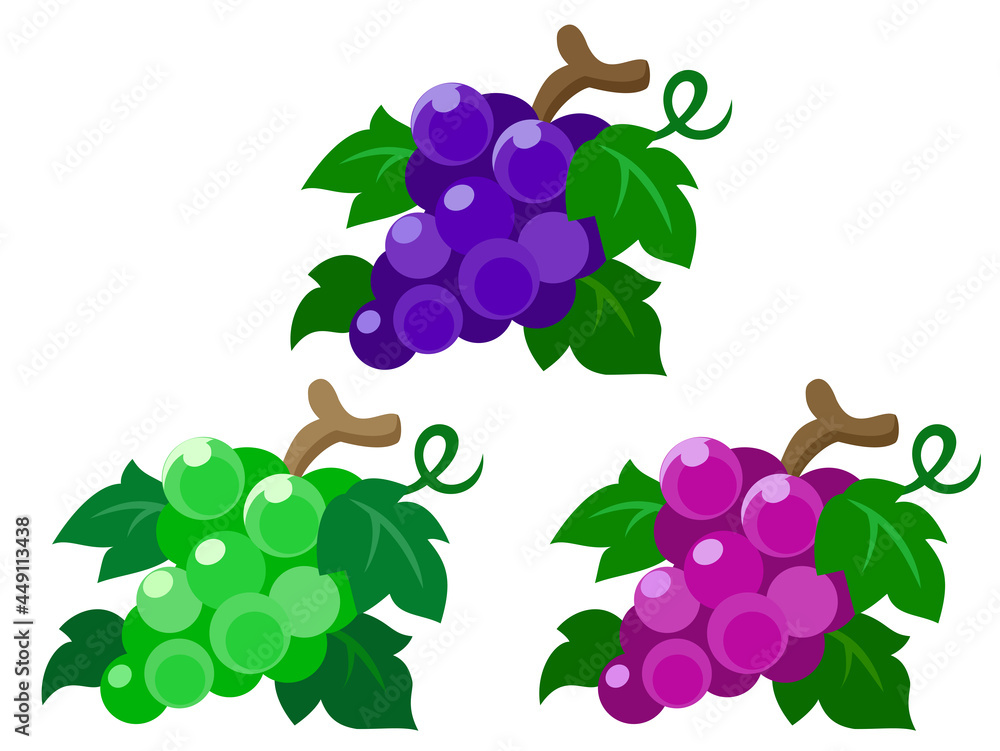 ブドウのセット 秋の味覚 秋の風物詩アイコン イラスト素材 Stock Vector Adobe Stock
