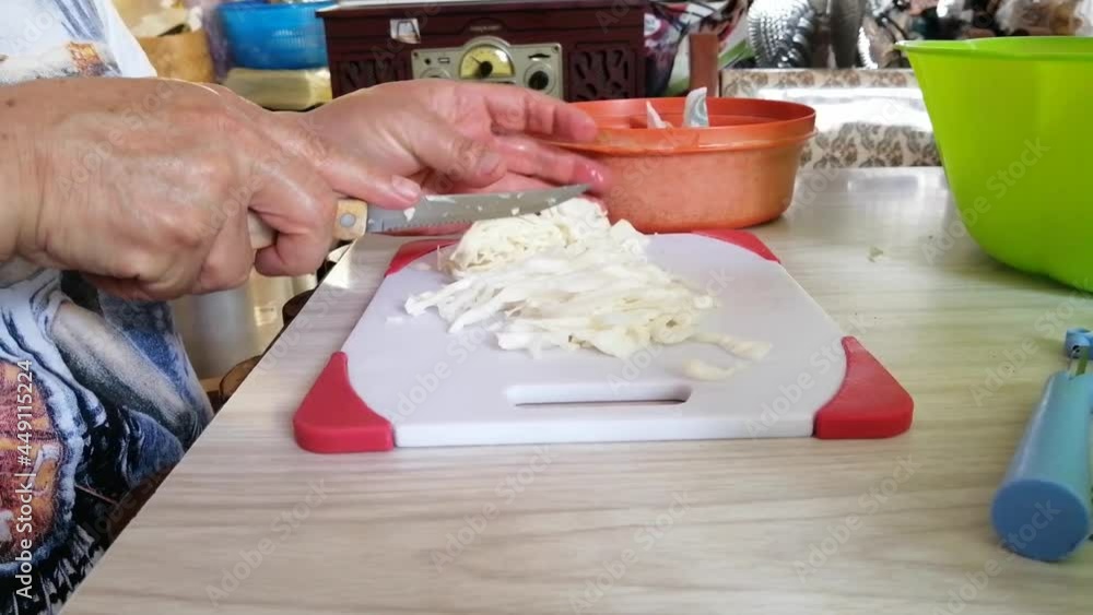 Preparing hamburger meat with organic vegetables on a hot summer day as a family Preparing hamburger meat with organic vegetables on a hot summer day as a family