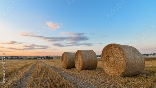 Amazing agricultural scenery with round straw bales in the field at sunset golden hour. Selective focus. Copy space. 