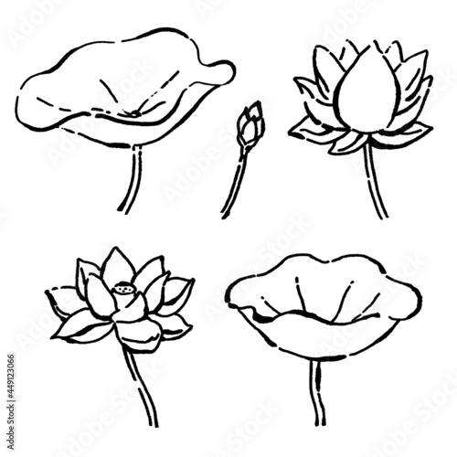 墨絵風のシンプルな線画の睡蓮の花と葉のベクターイラストセット