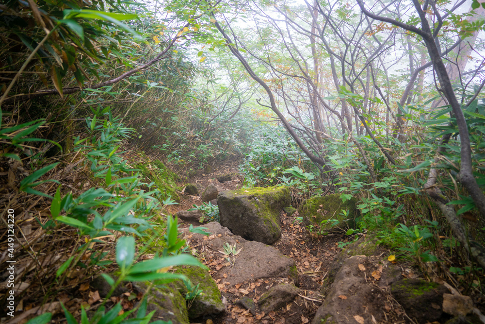 新潟県糸魚川市、妙高市にある火打山、妙高山の登山をしている風景 Scenery of climbing Mount Hiuchi and Mount Myoko in Itoigawa and Myoko City, Niigata Prefecture.