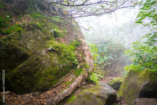 新潟県糸魚川市、妙高市にある火打山、妙高山の登山をしている風景 Scenery of climbing Mount Hiuchi and Mount Myoko in Itoigawa and Myoko City, Niigata Prefecture. photo